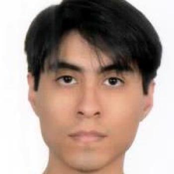 Johann Sebastian Quenta Raygada profile picture